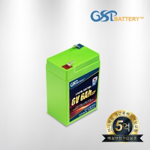 지에스피 리튬인산철 유아전동차 배터리 6V6A